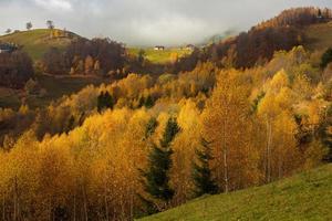 colorida paisagem de outono na aldeia de montanha. manhã de nevoeiro nas montanhas dos cárpatos na romênia. natureza incrível. foto