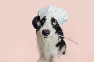 engraçado cachorrinho border collie no chapéu de cozinha chef segurando a concha de colher de cozinha na boca isolada no fundo rosa. cão chef cozinhando o jantar. conceito de menu de restaurante de comida caseira. processo de cozimento. foto