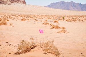 wadi rum, jordânia, 2022 - competidores de bandeira e atleta caminham rapidamente em marcações de passagem no deserto em extremo quente na ultramaratona multi-estágio ultra x jordânia desafiadora foto