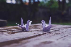 acredita-se que o pássaro origami seja um pássaro sagrado e um símbolo de longevidade, esperança, boa sorte e paz foto