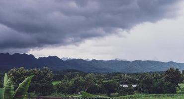 campo de arroz verde com fundo de montanhas sob céu azul, campo de arroz de vista panorâmica. foto