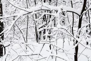 galhos cobertos de neve na floresta nevada em dia de inverno foto