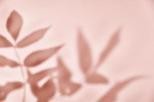 sombra de folha no fundo rosa. fundo abstrato criativo foto