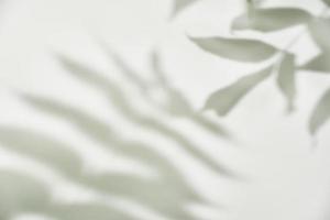 sombra de folha em fundo branco. fundo abstrato criativo foto