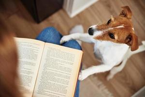 mulher segura cachorro e livro de leitura. relaxando junto com um animal de estimação foto