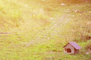 uma pequena casa de cachorro ao ar livre em um campo de grama foto