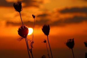 o sol se põe abaixo do horizonte no mar mediterrâneo no norte de israel. foto