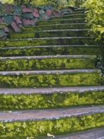 escadas cobertas de musgo, Índia foto