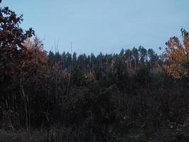 manhã e noite panorama do amanhecer foto