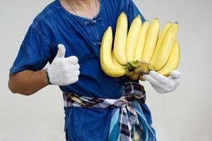 agricultor closeup detém bananas amarelas orgânicas. colheita de agricultura de conceito na tailândia. os agricultores tailandeses cultivam bananas para vender como empresa familiar ou compartilhar. foto