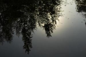 água na lagoa. reflexo na água. lago no parque. foto
