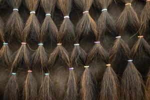 cabelo de cavalo perto. tranças em elásticos. textura de crina de cavalo. foto