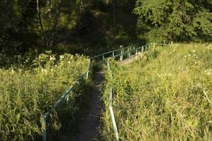 ponte no parque. trilha em zona ecológica. detalhes do parque nacional. foto