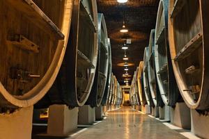 barris de vinho nas adegas de vinicultores foto