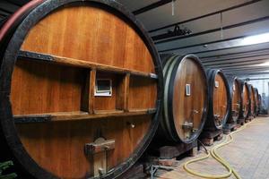 barris de vinho de carvalho em adega foto