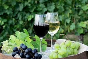 vinho tinto e branco com uvas na natureza foto