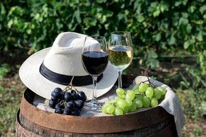 vinho tinto e branco com uvas na natureza foto