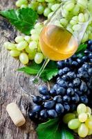 vinho branco e uvas foto