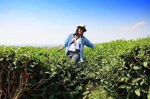 retrato de mulher tailandesa na plantação de chá em doi mae salong foto
