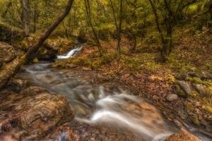 bela paisagem de outono com rio de montanha e árvores coloridas foto