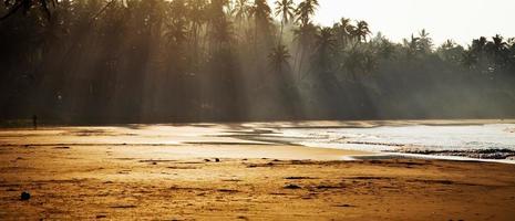 praia tropical ao amanhecer foto