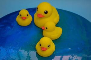 lindos patos de brinquedo de banheira de borracha amarela nadam em um fundo de água azul foto