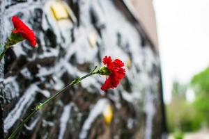 cravos vermelhos frescos em um monumento de mármore preto foto