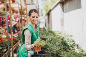 mulher trabalhando em viveiro de plantas e cuidando de vasos de plantas foto