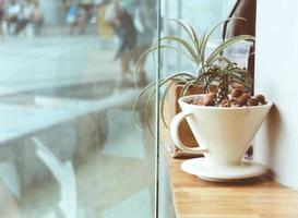 cactos e plantas em gotejador de café para decoração com efeito de filtro retrô foto