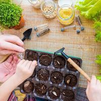 vasos de turfa, ferramentas e solo estão prontos para plantar sementes. cultivo de mudas para jardinagem. postura plana com as mãos do bebê foto