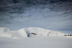 primavera ártica em spitsbergen sul. foto