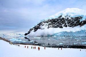 avalanche no porto de neko, antártica
