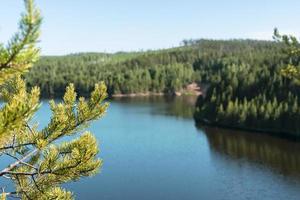 bela vista do lago azul turquesa, galhos de pinheiro verde amarelo e floresta na praia em dia de verão, paisagem, natureza foto