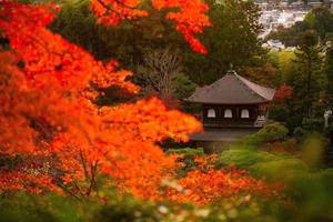 ginkaku-ji, templo do pavilhão de prata ou oficialmente chamado jisho-ji, ou templo da misericórdia brilhante, um templo zen na ala sakyo de kyoto, kansai, japão