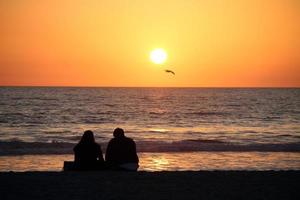 pôr do sol com gaivota e casal praia santa monica
