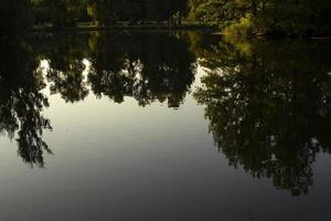 árvores refletidas na água. lago no parque. lagoa de verão na propriedade. foto