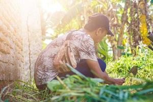 tegal, jawa tengah, 2022 - um agricultor cortando as ervas daninhas com uma foice foto