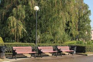 banco de madeira moderno vazio com ripas no parque público. planejamento urbano, melhoria da cidade, conceito de espaço público. área de lazer da cidade. projeto de arquitetura jardim confortável. caminho da rota botânica foto