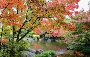 kokoen, jardim tradicional japonês durante a temporada de outono em himeji, japão foto