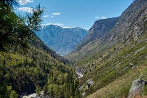 vista no vale do rio chulcha. república de altai, sibéria. Rússia foto