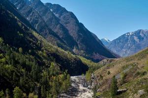 vista no vale do rio chulcha. república de altai, sibéria. Rússia foto