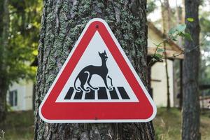 sinal de aviso cuidado com os gatos, sinal brincalhão, sinal de estrada triangular vermelho alertando sobre gatos foto