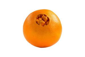 fruta laranja isolada foto