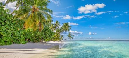 fundo de viagens de verão. ilha de praia tropical exótica, costa paradisíaca. palmeiras areia branca, incrível céu oceano lagoa. fantástico panorama da natureza bonita, férias inspiradoras idílicas de dia ensolarado foto