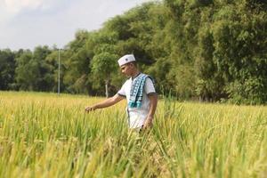 jovem rapaz muçulmano asiático no campo de arroz foto