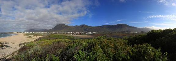 paisagem cênica com montanhas no horizonte e fynbos em primeiro plano foto