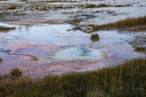 hotspring em meio a paisagem geotérmica na floresta no parque nacional de yellowstone foto