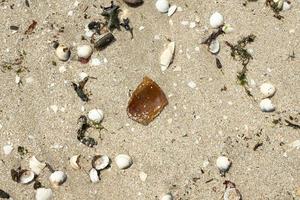 vidro de uma garrafa quebrada na areia na praia foto