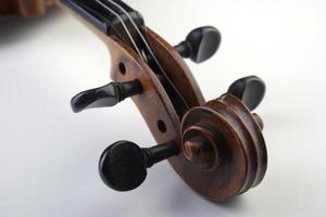 violino foto