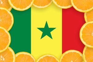 bandeira do senegal no quadro de fatias de frutas cítricas frescas foto
